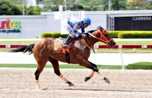 José Hernández con chance - Líder en deportes