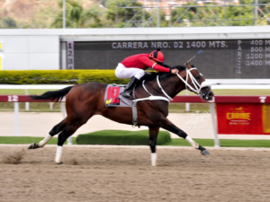 Gloriossus luce grande en el evento My Own Business