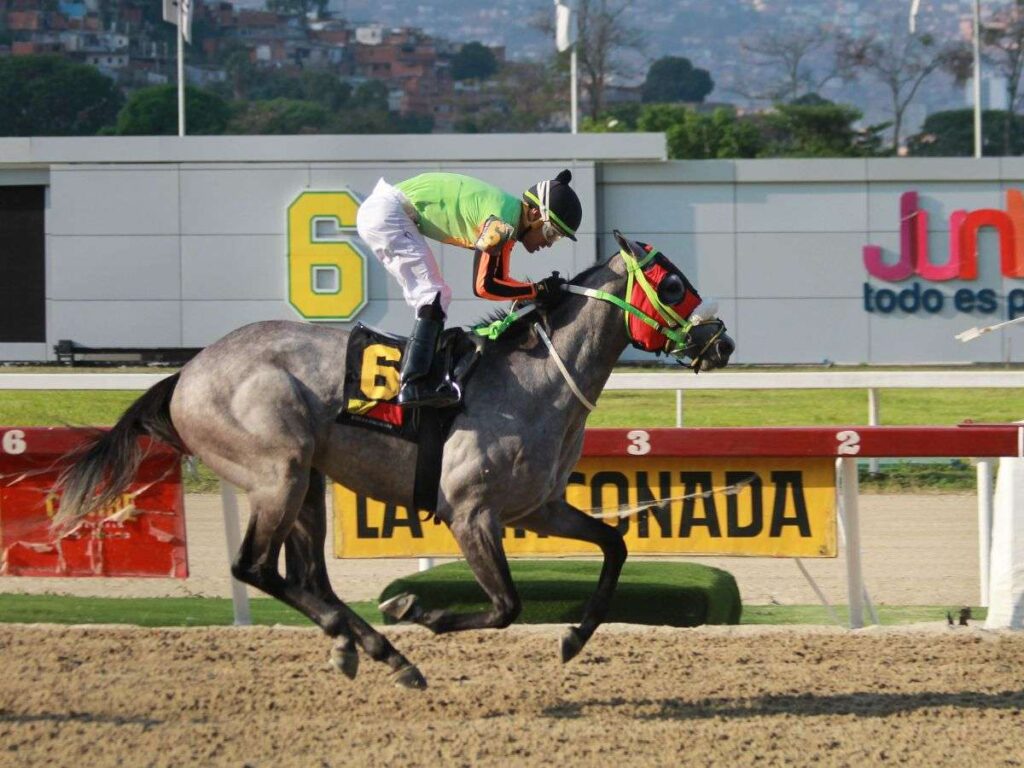 Lemon White fuera por grave lesión