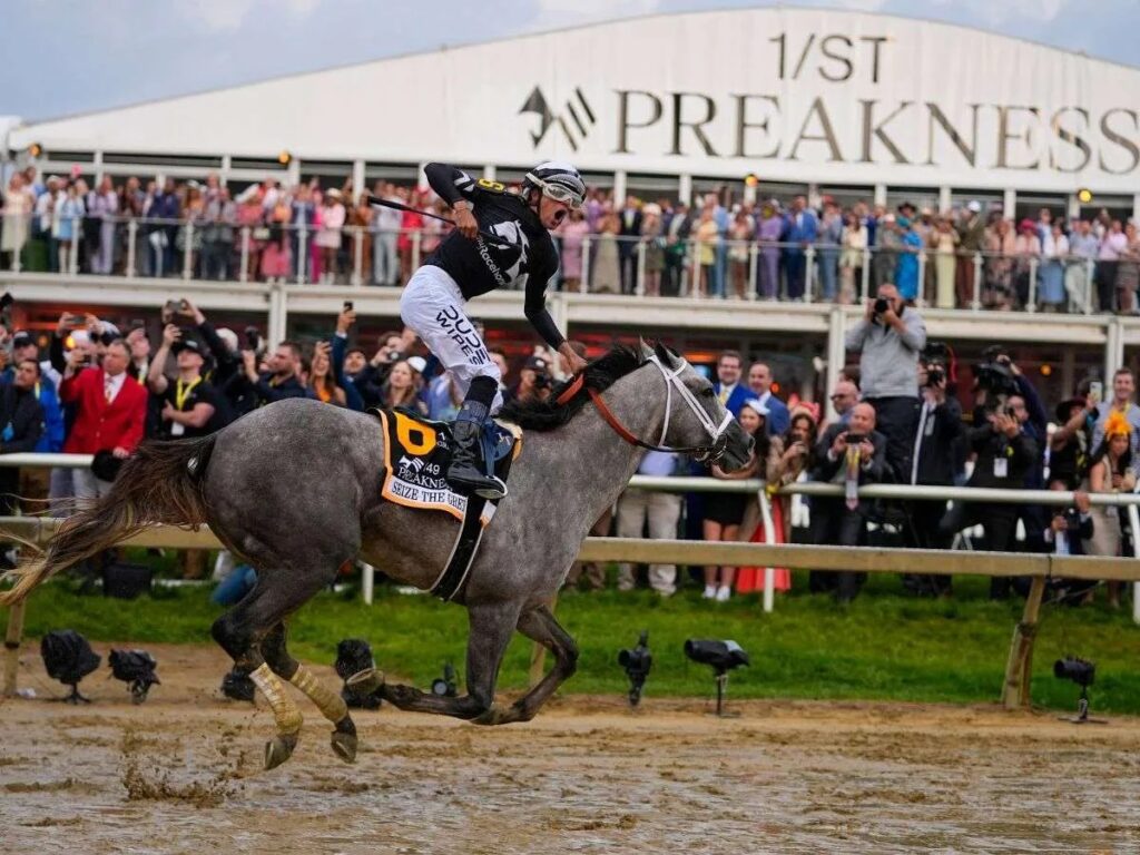 Seize The Grey con futuro asegurado en el Gaynesway