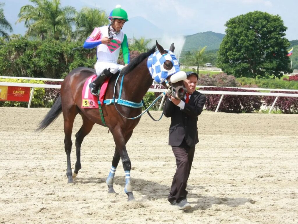 Copa de Jinetes muy pareja