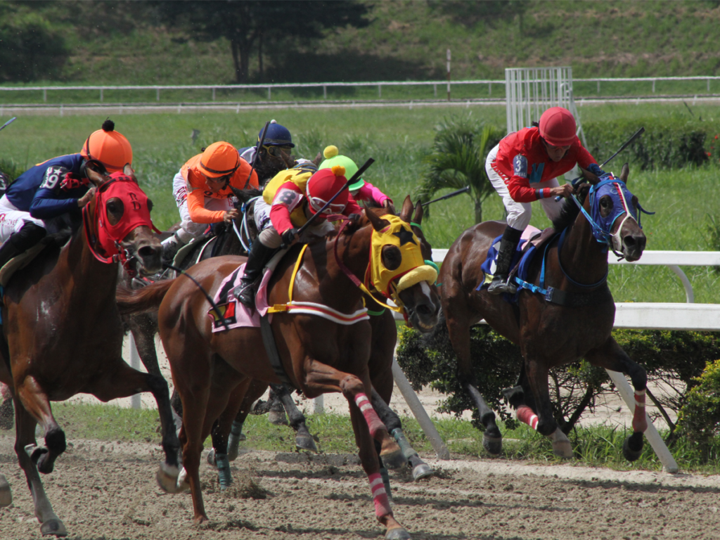 Stud Excelso le retiró los caballos a Freddy Escobar