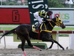 Tequila y Fast Sensations deciden el Armada