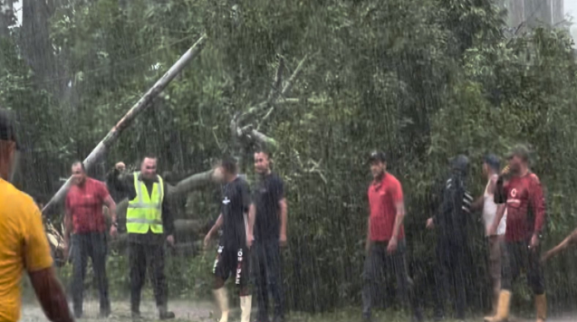 Árbol cayó sobre vehículo que trasladaba a Delcy Rodríguez en Cumanacoa
