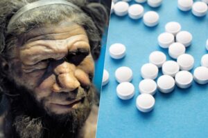 Ni dodos ni mamuts, la nueva gran promesa de la desextinción son los antibióticos neandertales
