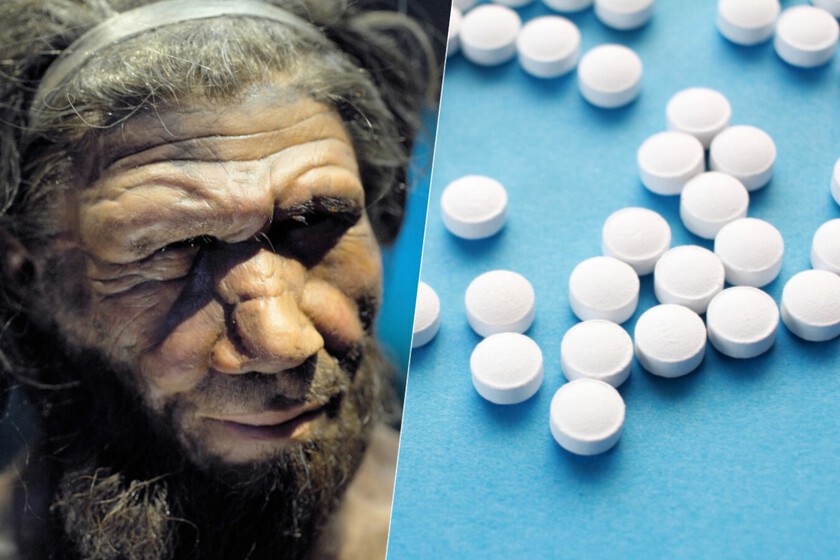 Ni dodos ni mamuts, la nueva gran promesa de la desextinción son los antibióticos neandertales