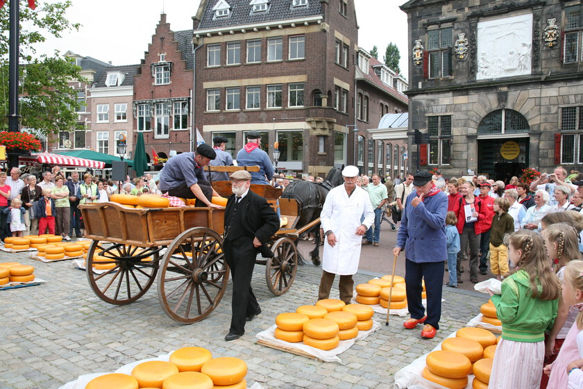 el futuro del queso más popular de Países Bajos se hunde (literalmente)