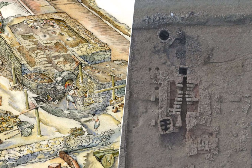 la de la cerveza y la sal