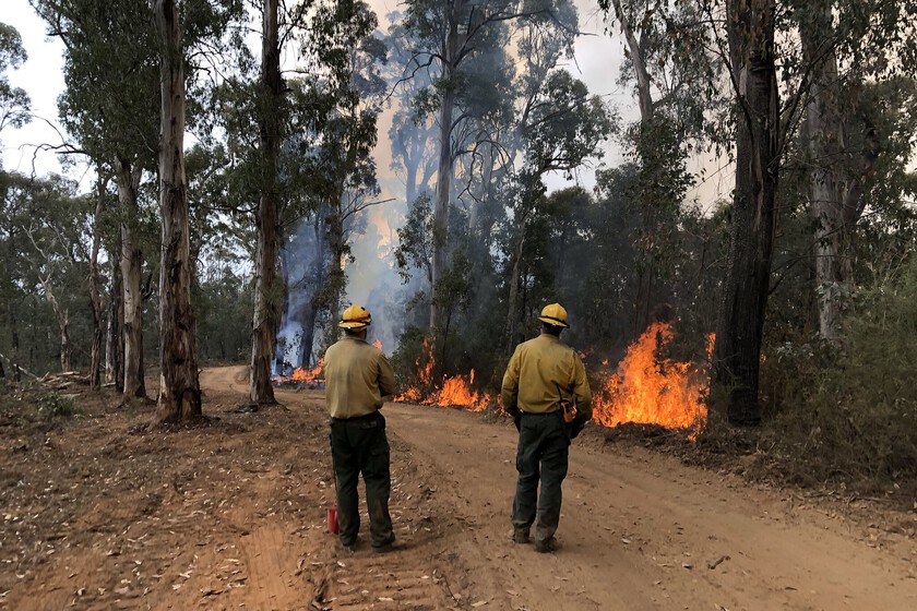 En los incendios forestales hay algo más letal que el fuego o el calor. Y ahora sabemos que se cobra miles de vidas