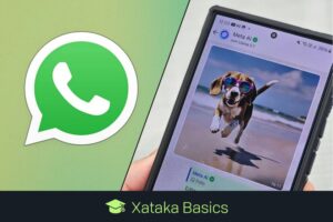 en qué casos vas a poder hacerlo y cómo proceder