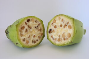 El plátano tiene los días contados tal y como lo conocemos. Una variedad australiana diminuta quiere salvarlo