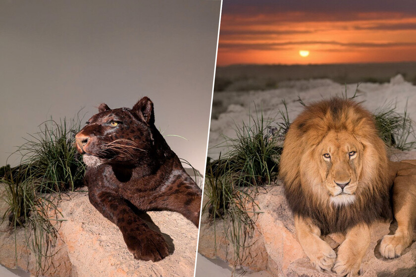 He probado "Reimagine" en el Google Pixel 9. Me ha asustado y entusiasmado a partes iguales