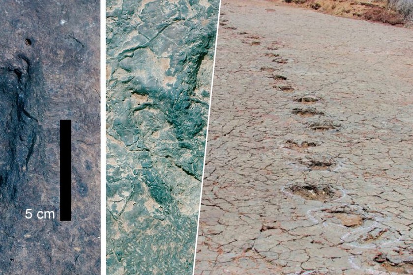 Hallan la misma huella de 120 millones de años a 6.000 km y un océano de distancia. Solo puede haber una explicación
