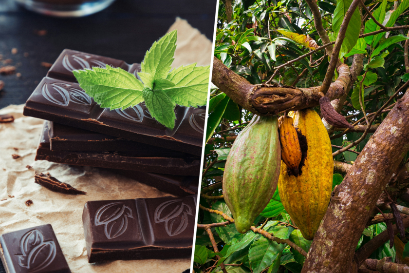 El precio del chocolate amenaza con subir tanto que los expertos ya se plantean medidas extremas: no desperdiciar nada