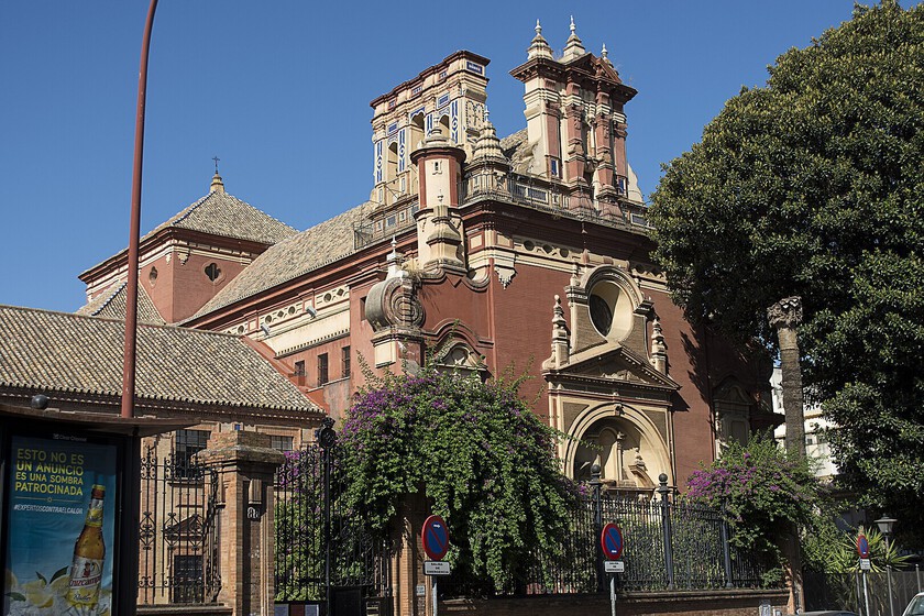 Un ficus centenario acaba de morir en Sevilla tras dos años de agonía. Es el mejor ejemplo de cómo España está matando sus árboles urbanos
