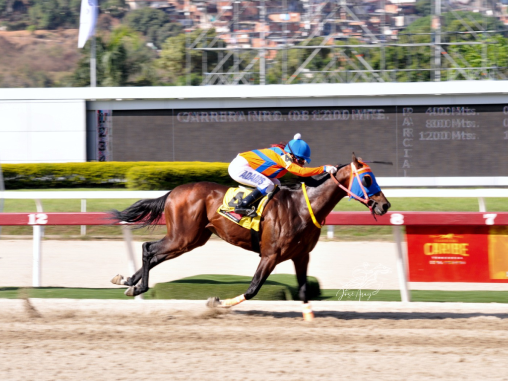 Cindy Carrero tendrá dos montas de impacto