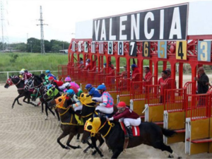 Resultados de Valencia - Líder en deportes