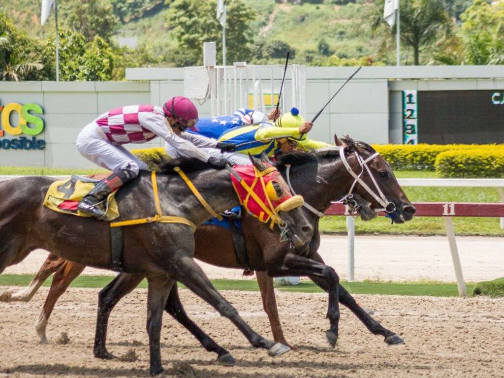 Gran Despertar ganó en final de foto la primera carrera