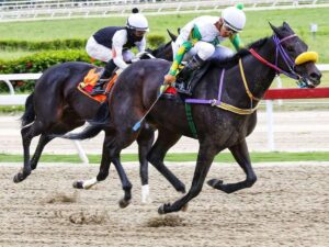 Investigan actuación de la favorita Lady Rossy