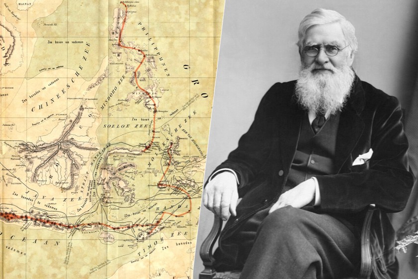 La Línea de Wallace es una de las fronteras más extrañas del planeta. Llevamos más de un siglo tratando de entender por qué