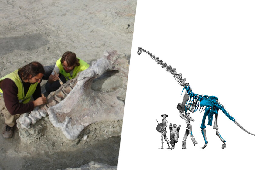 Acabamos de descubrir un dinosaurio enorme en España. Debajo de las obras del AVE