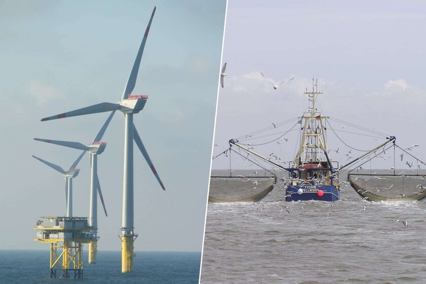 El impacto de la energía offshore en la pesca. Dos industrias condenadas a entenderse