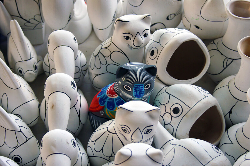 Tras estudiar a un millón de personas durante 20 años, estos científicos creen que "ser único" ha pasado de moda. La pregunta es por qué