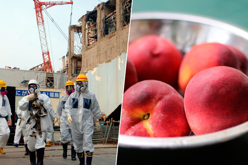 Los melocotones más caros del mundo se cultivan junto a Fukushima. Y ya se están vendiendo en Londres a precio de oro