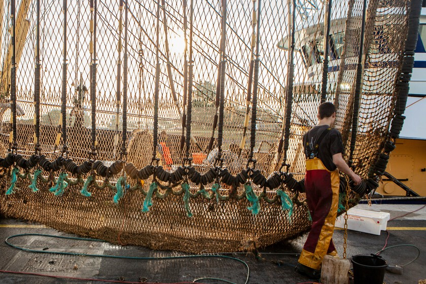 La Conferencia Hidrográfica del Júcar lleva meses sacrificando miles y miles de peces de sus embalses. Y lo peor es que tiene sentido