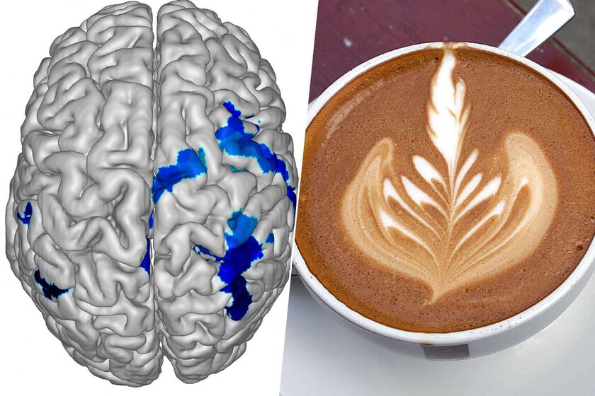 Un estudio ha echado un vistazo al efecto que beber café tiene sobre nuestro cerebro. No es muy optimista