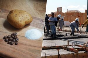 tres sorprendentes alternativas para crear hormigón sin agotar las reservas mundiales de arena