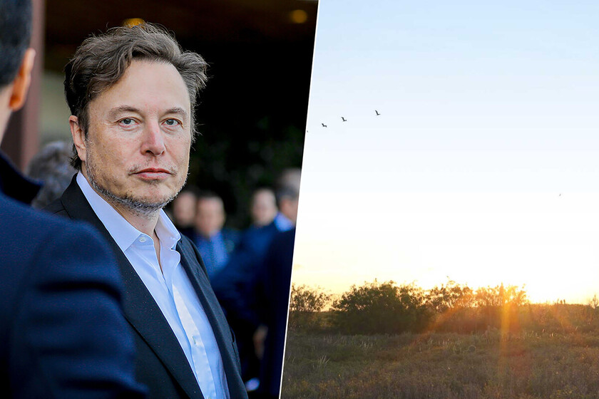 En un giro totalmente absurdo de los acontecimientos, Cards Against Humanity ha demandado a Elon Musk. El motivo: una parcela