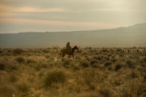 Creíamos que las lenguas indoeuropeas llegaron literalmente a caballo. Estábamos equivocados