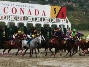 Los clásicos Millard Ziadiey Gelinotte en Caracas