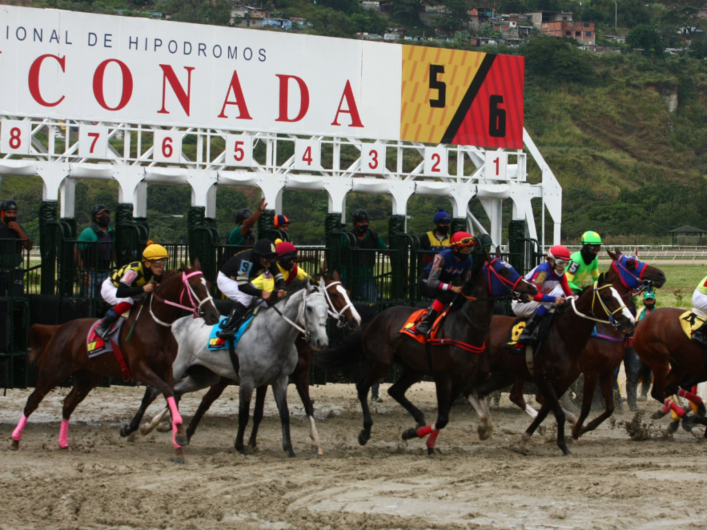 Los clásicos Millard Ziadiey Gelinotte en Caracas