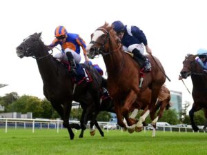 Economics dentro de las Breeders’