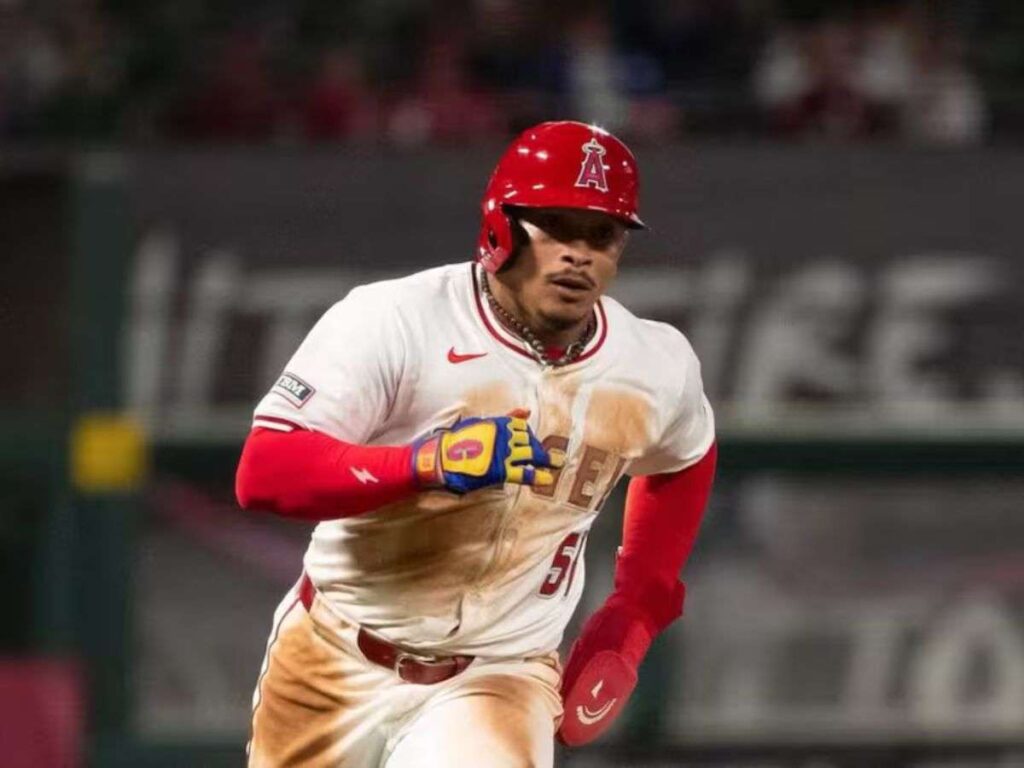 Bravos de Margarita completa su importación