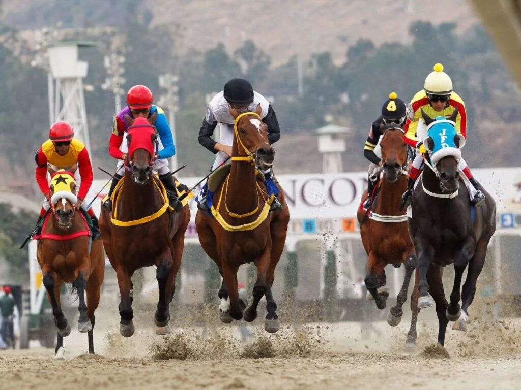 Caballo argentino debuta el domingo en La Rinconada