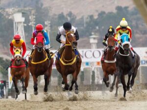 Caballo argentino debuta el domingo en La Rinconada