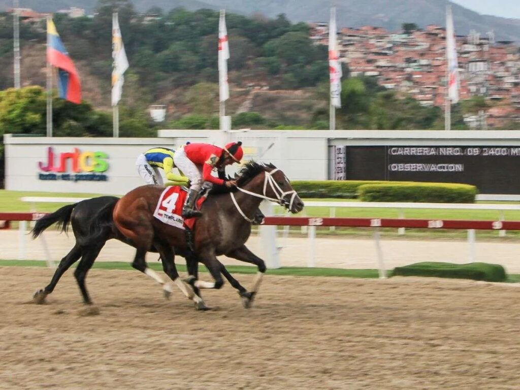 Templario rematará en el Jockey Club