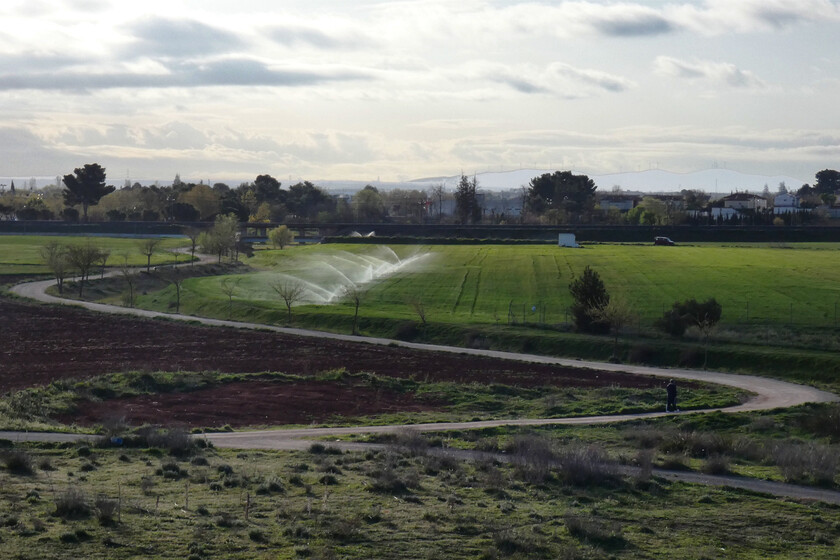 cada vez llueve menos y cada vez queremos plantar más