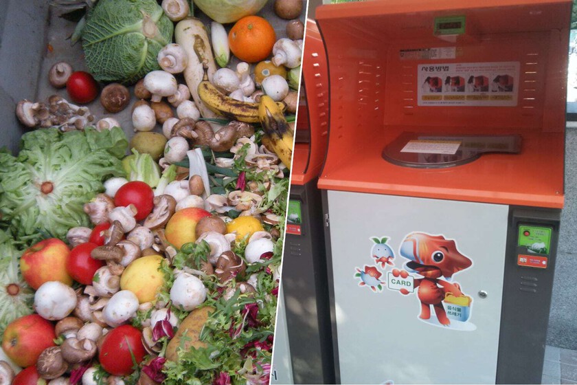 o pagas por reciclar o te cae una multa