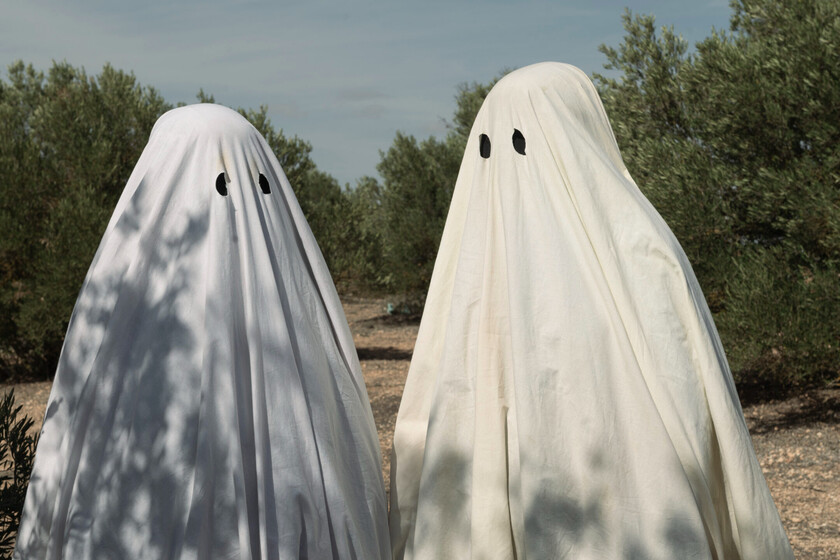 'Bodegón con fantasmas' (2024), crítica | Recoge el testigo de 'Espíritu sagrado' con una fabulosa comedia rural que se ríe de los prejuicios ante la España vaciada