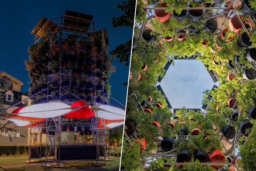 El invento español para solucionar la falta de árboles y rebajar el calor en plazas y parques del planeta. Es barato e inmediato