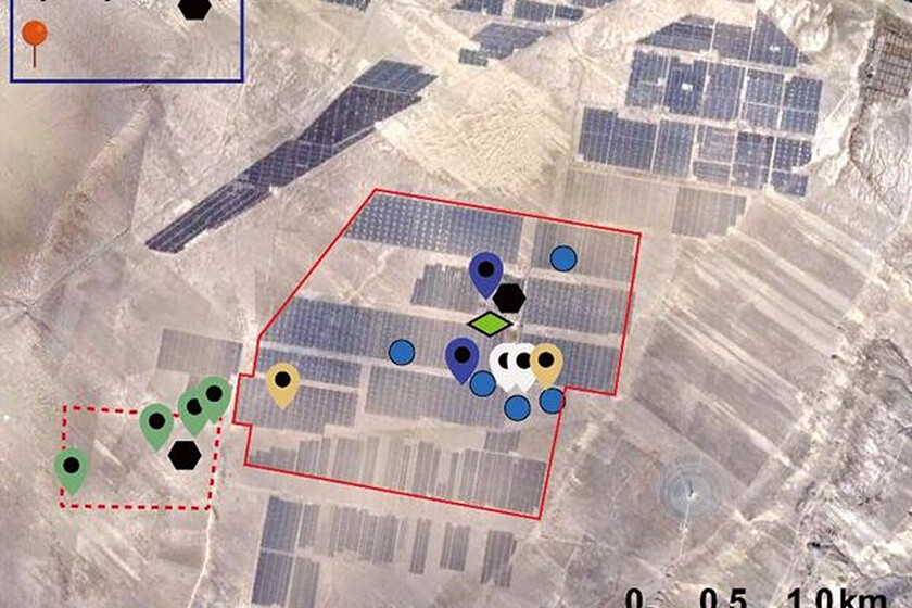 China ha confirmado que cubrir un desierto de paneles solares cambia el ecosistema. Para bien