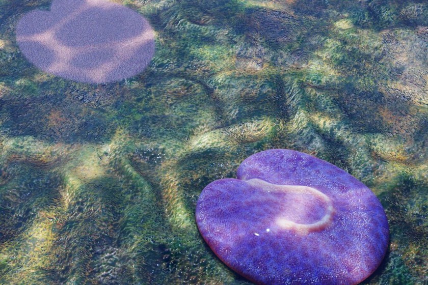 Acabamos de encontrar en Australia el animal fósil más antiguo jamás descubierto. Tiene un signo de interrogación dibujado en su cuerpo