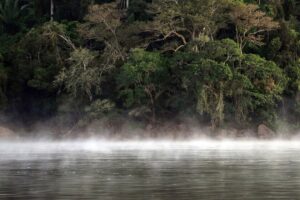 En el Amazonas peruano, las últimas tribus nunca contactadas van a recibir una visita: la de compañías petroleras