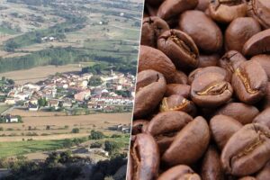 ser la nueva cuna del café en Europa
