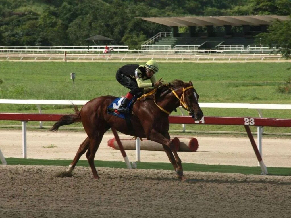 Compadre Peche va por su segundo triunfo consecutivo