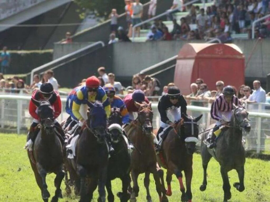 Cerró hipódromo de Singapur - Líder en deportes